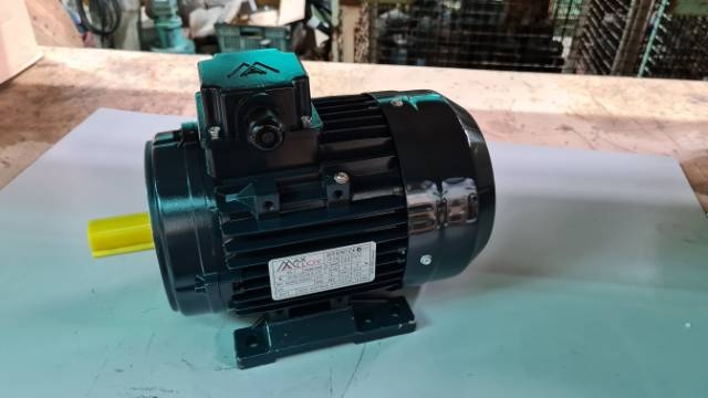 Max Alloy 0.75Kw, 6 Pole Foot/Flange Electric Motor