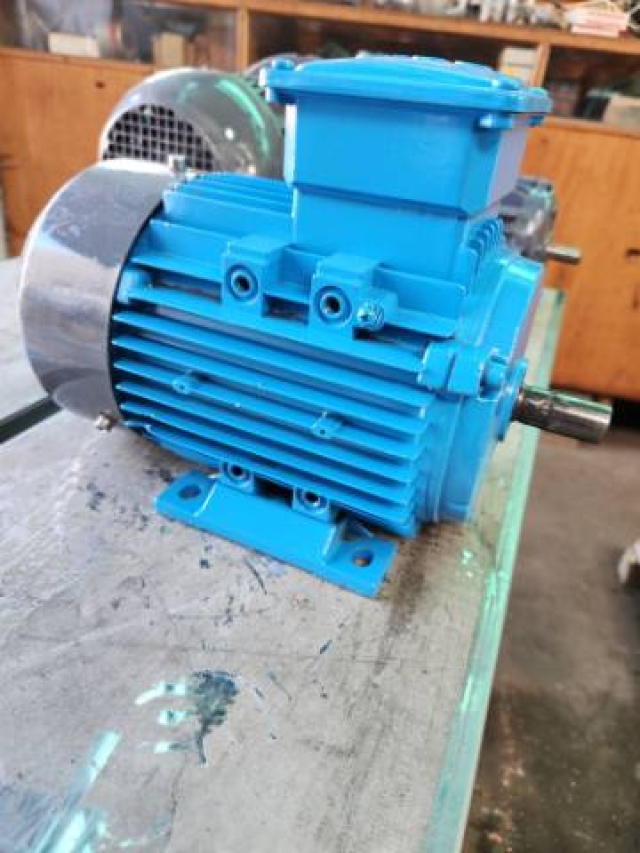 CMG 0.75KW, 2850 RPM Electric Motor