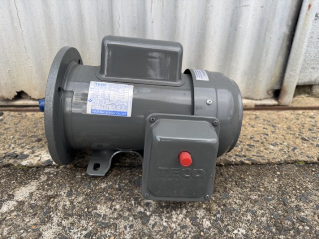 TECO 0.75Kw, 2900 RPM, 2 Pole, Foot/Flange, Single Phase Electric Motor