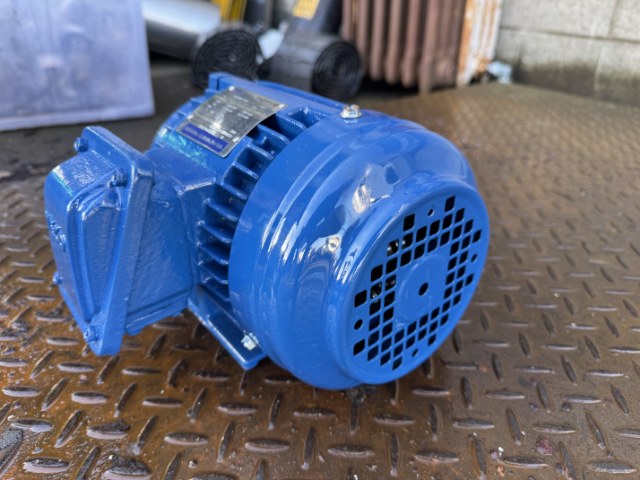 TECO MAX-E 3 Premium 0.18Kw, 910 RPM, 6 Pole Electric Motor