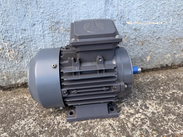 Techtop 0.75Kw, 2890 RPM, 2 Pole, Foot/Flange Electric Motor