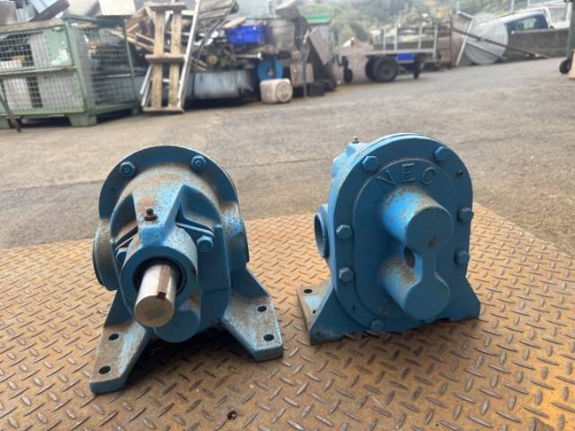 2" BSP Gear Pump